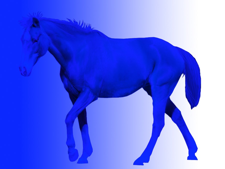 Blue Horse (digital projection)